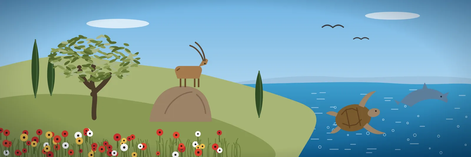 Frühlingslandschaft mit Mohnblumen, Zypressen und Olivenbaum, eine Kri-Kri-Ziege auf einem Felsen, im Meer eine Meeresschildkröte und ein Delfin